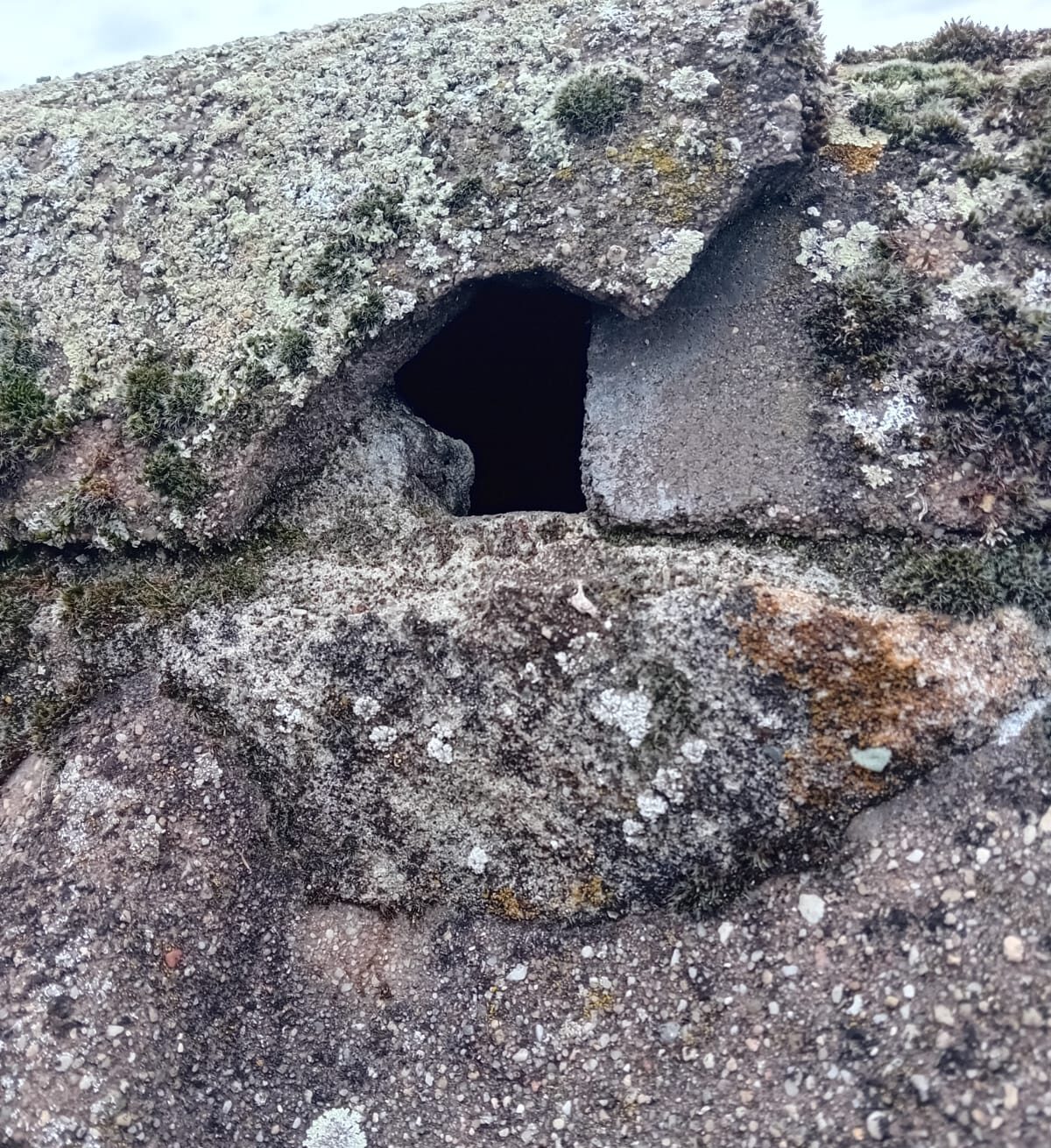 Gat in nok van dak door storm
