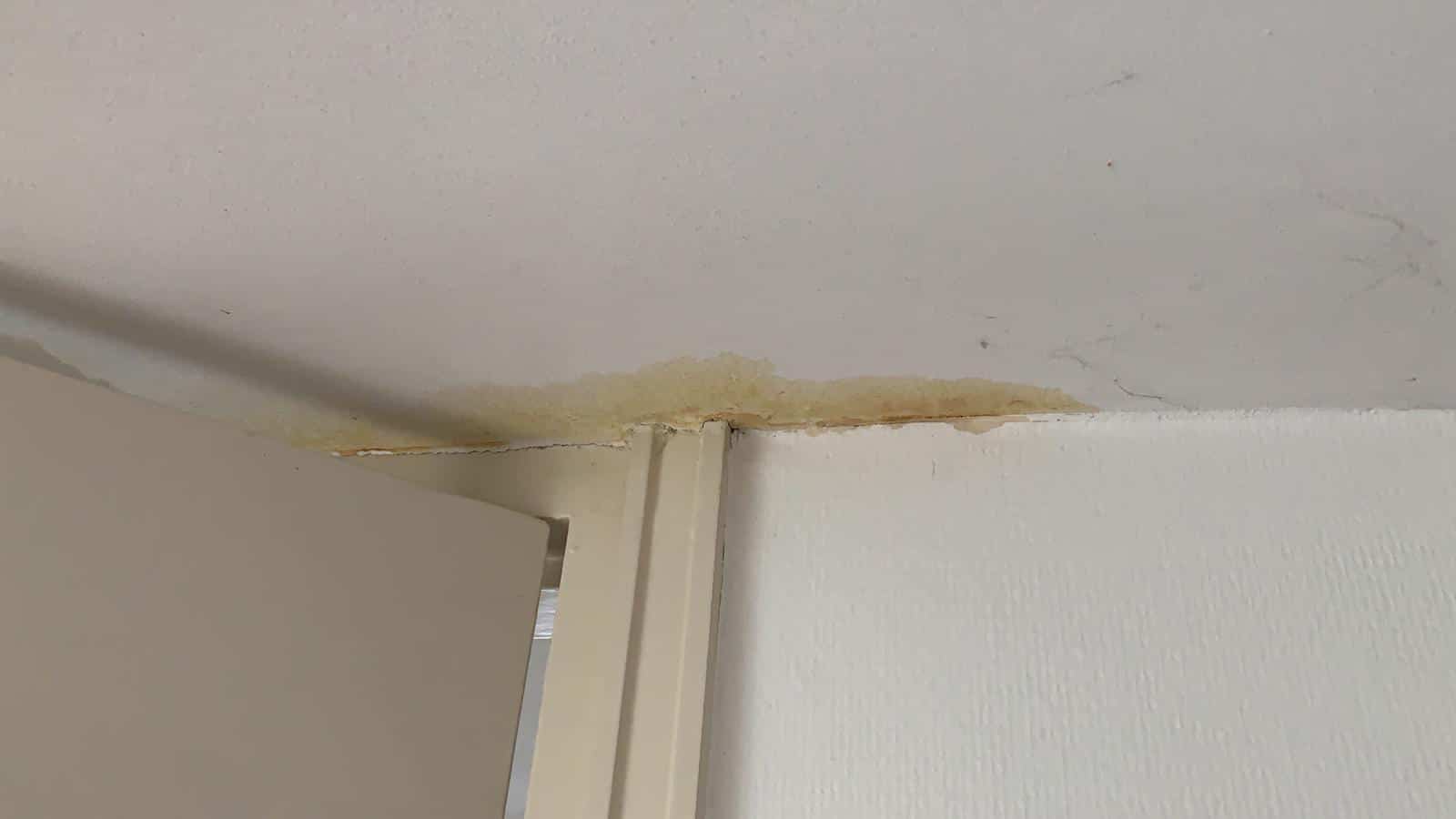Vochtplekken plafond